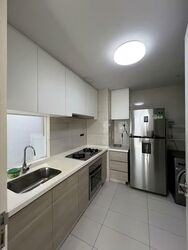 Austville Residences (D19), Condominium #560674441